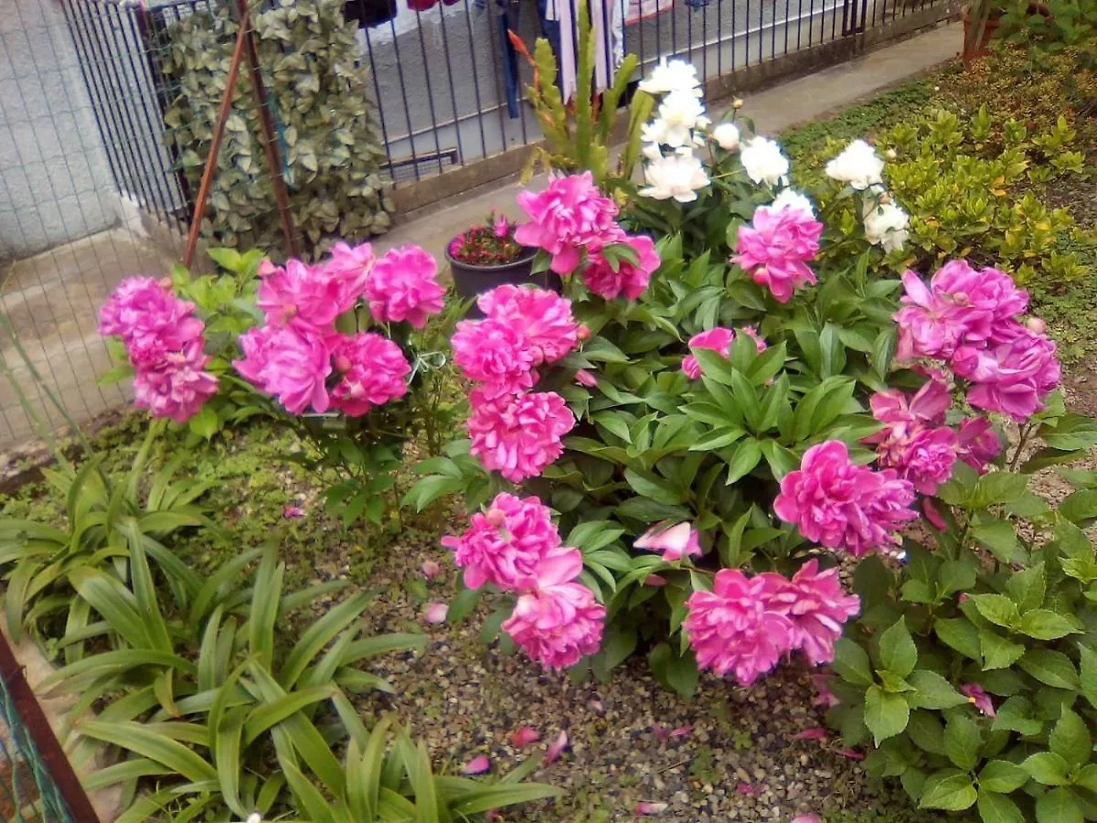 דירות לבנטו Casa Giulia